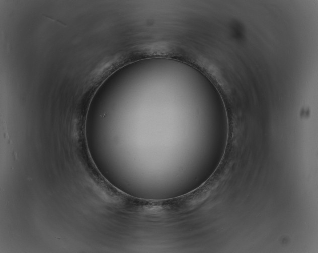 X0000093600161200710221554