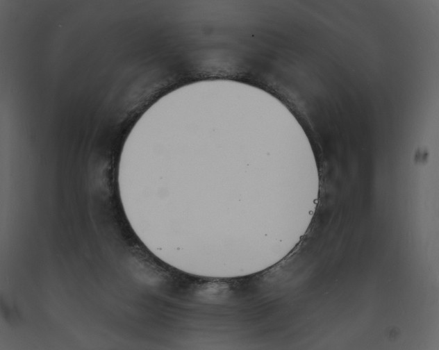 X0000093600162200710221554