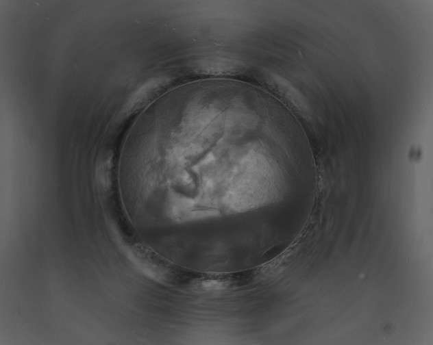 X0000093600163200710221554