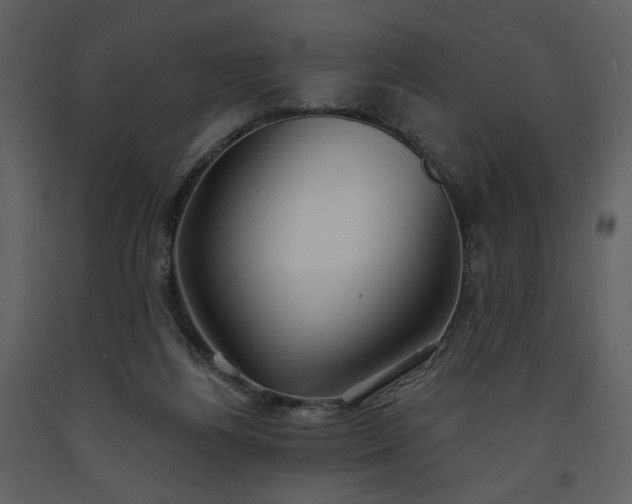 X0000093600164200710221554