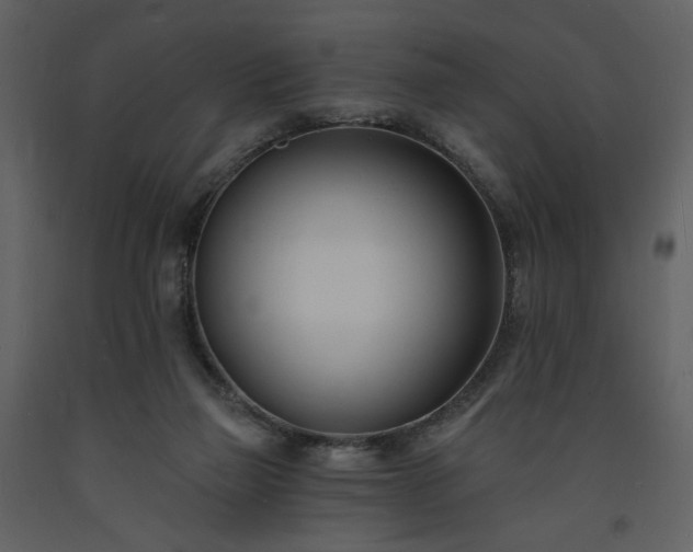 X0000093600165200710221554