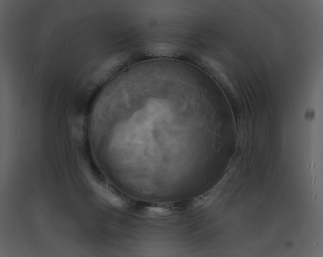 X0000093600167200710221554