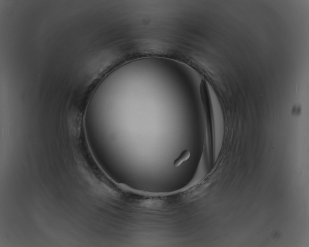 X0000093600168200710221554