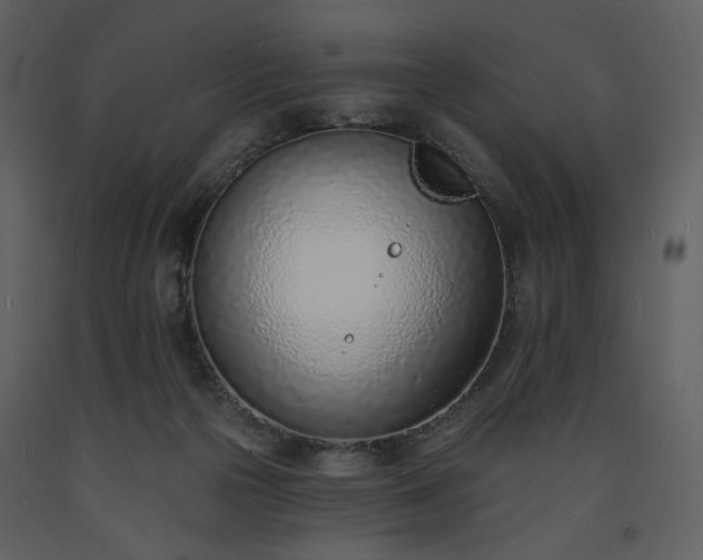 X0000093600169200710221554