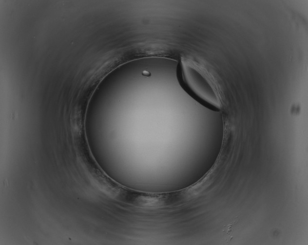 X0000093600170200710221554