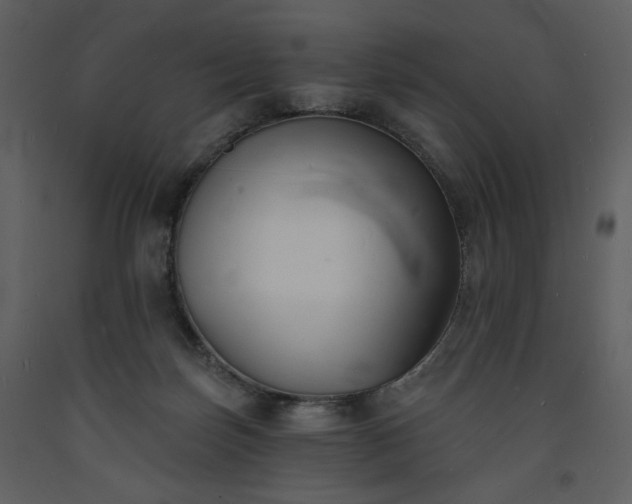 X0000093600171200710221554