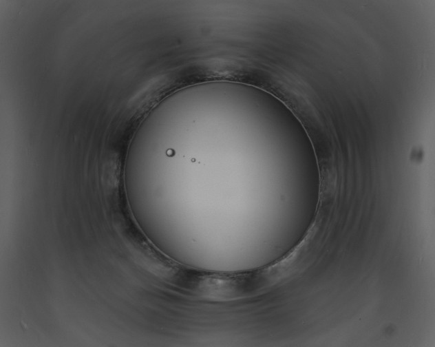 X0000093600174200710221554