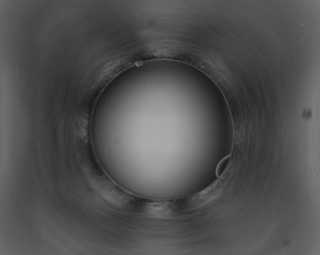 X0000093600175200710221554