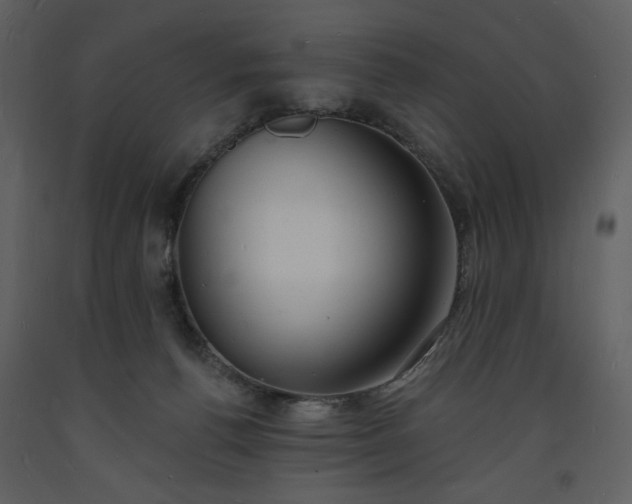 X0000093600176200710221554