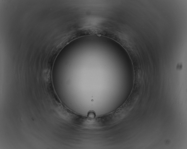 X0000093600177200710221554