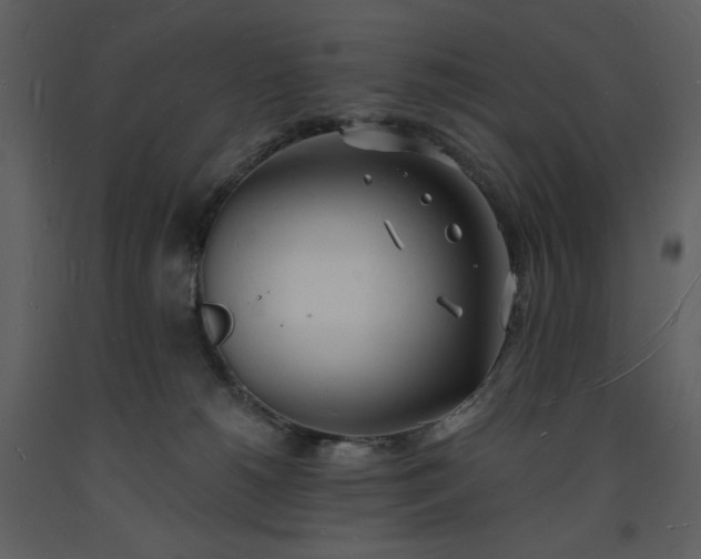 X0000093600180200710221554