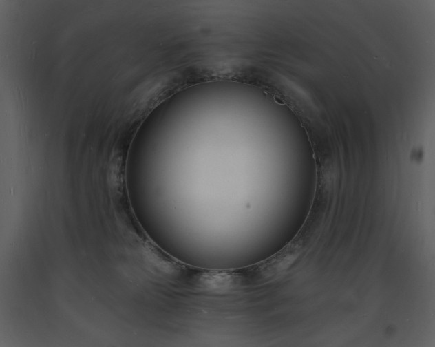 X0000093600181200710221554