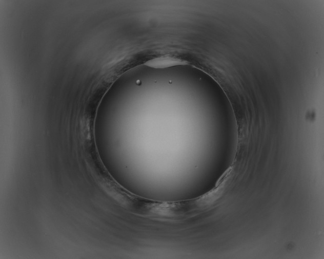 X0000093600182200710221554