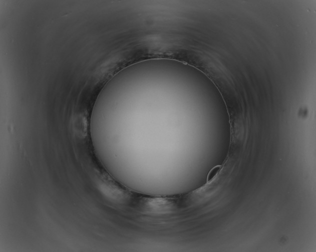 X0000093600183200710221554