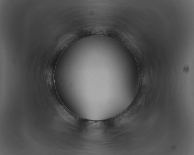 X0000093600185200710221554