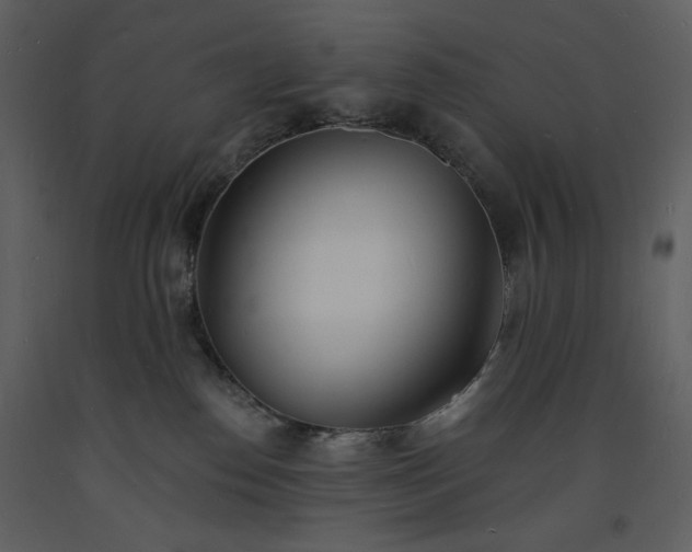 X0000093600186200710221554