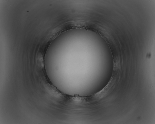 X0000093600187200710221554