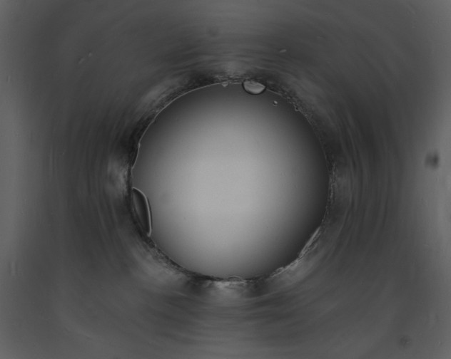 X0000093600188200710221554