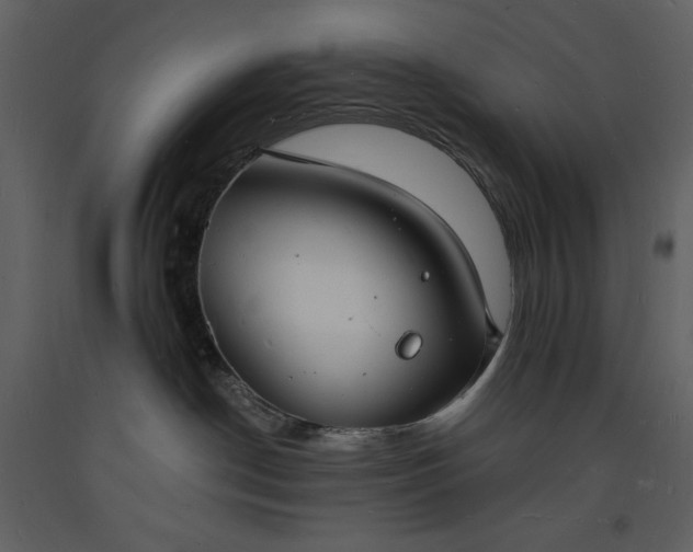 X0000093600190200710221554