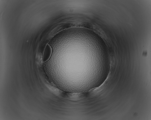 X0000093600191200710221554