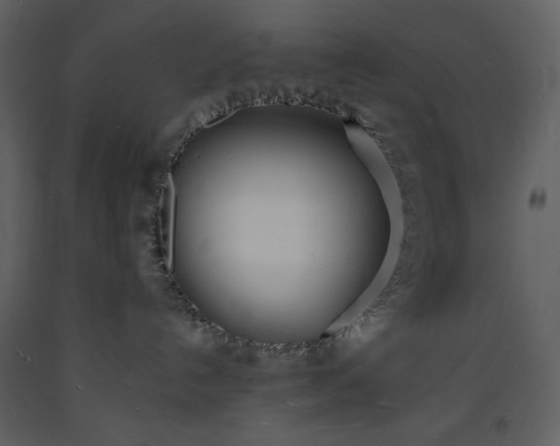 X0000093600192200710221555