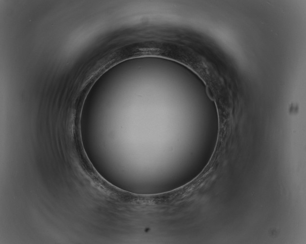 X0000093600194200710221554