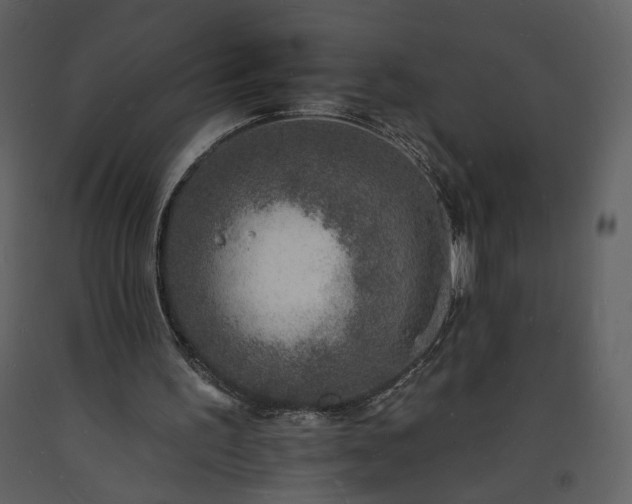 X0000093600195200710221554