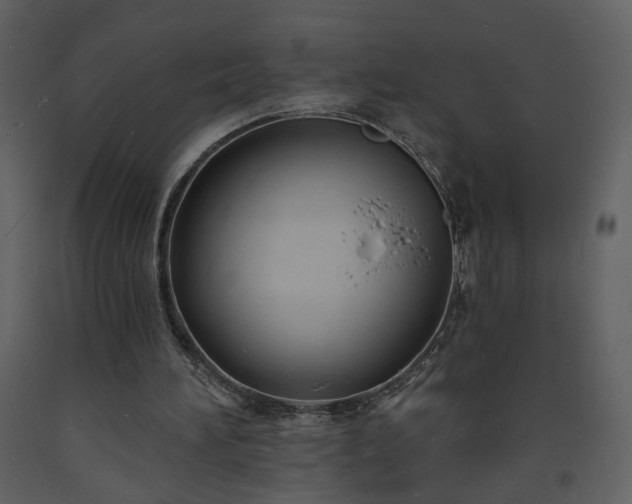 X0000093600196200710221554