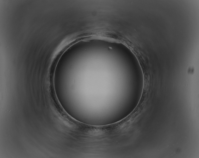 X0000093600198200710221554