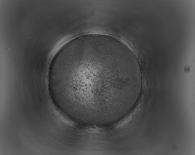 X0000093600199200710221554