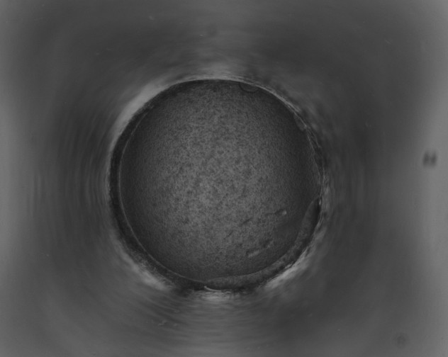 X0000093600200200710221554