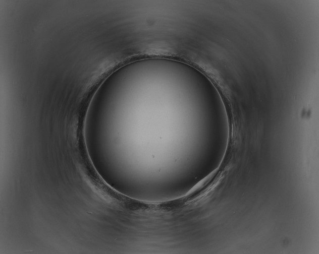 X0000093600201200710221554