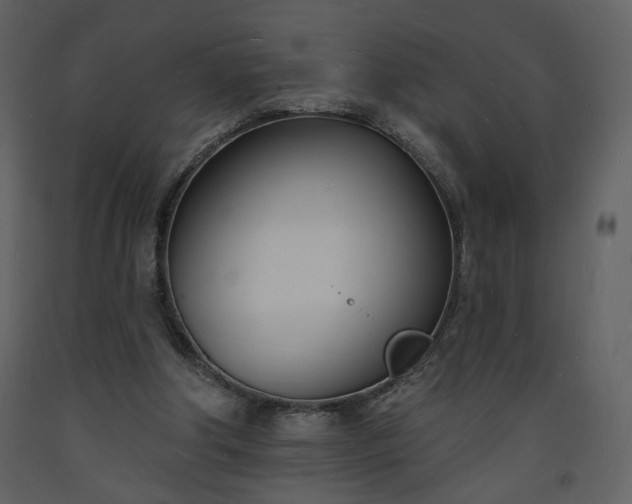 X0000093600202200710221554