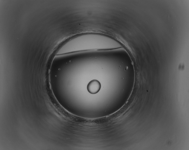 X0000093600203200710221554