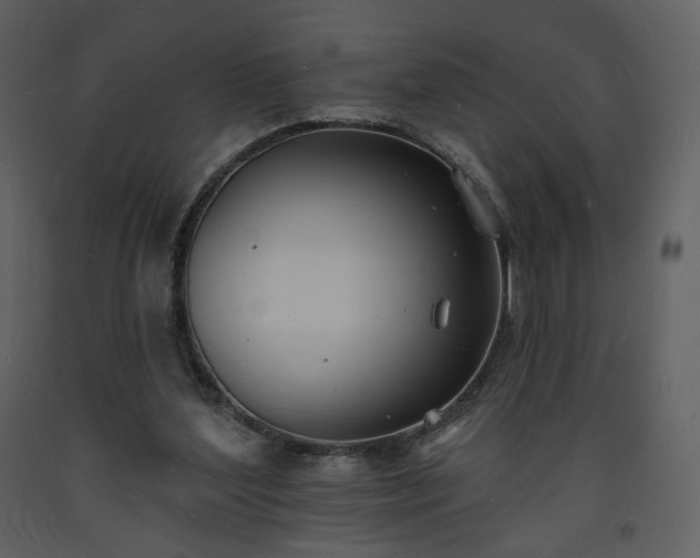 X0000093600204200710221554