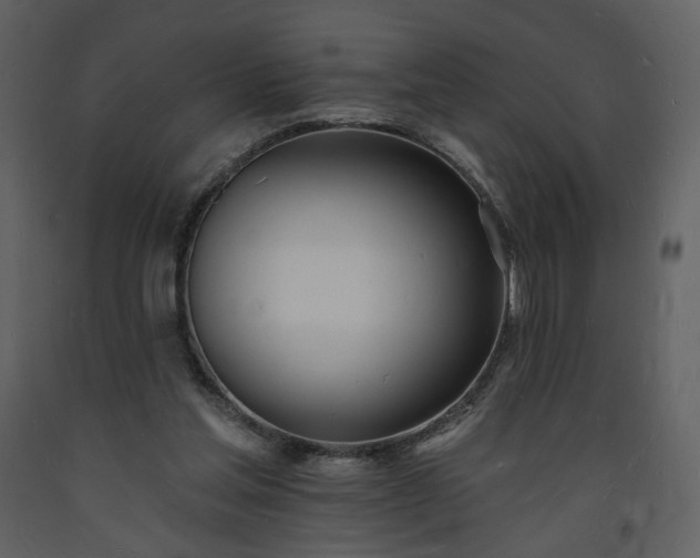 X0000093600205200710221554