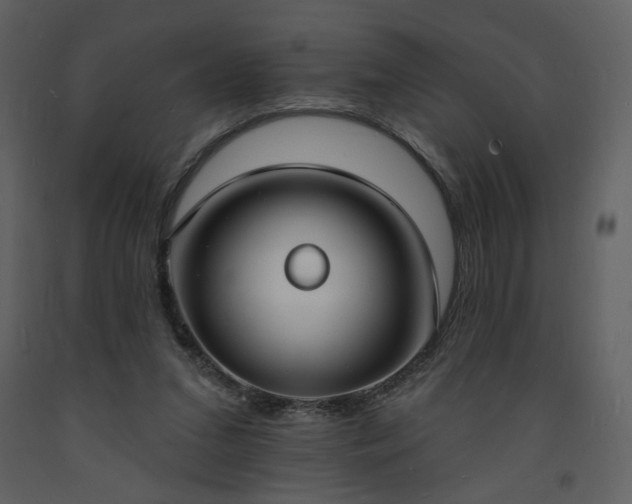 X0000093600207200710221554