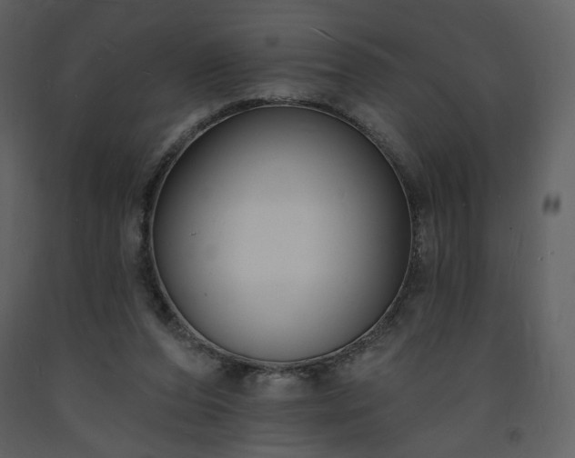 X0000093600208200710221554