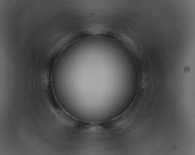 X0000093600210200710221554