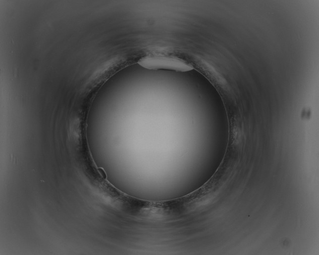 X0000093600211200710221554