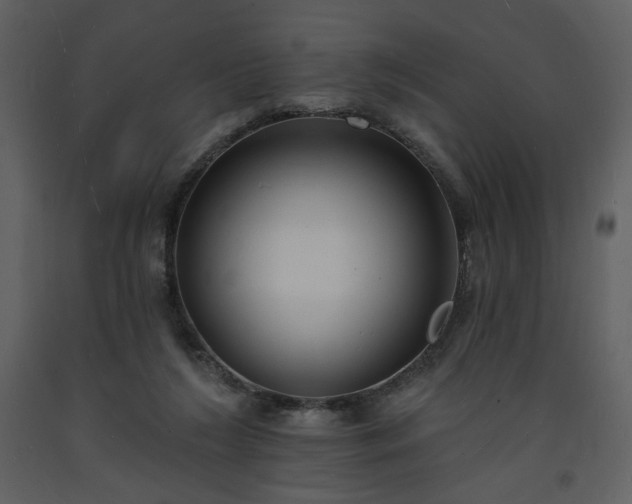 X0000093600212200710221554