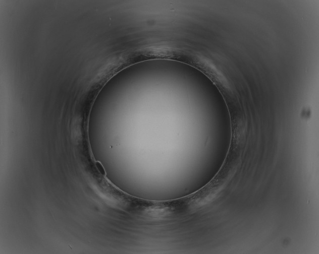 X0000093600213200710221554