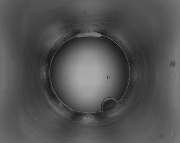 X0000093600214200710221554