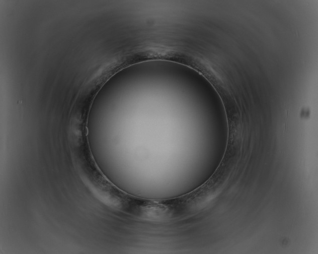 X0000093600215200710221554