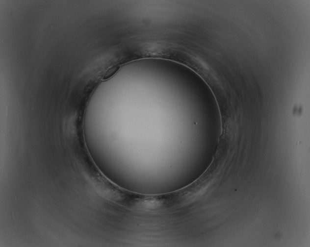 X0000093600217200710221554