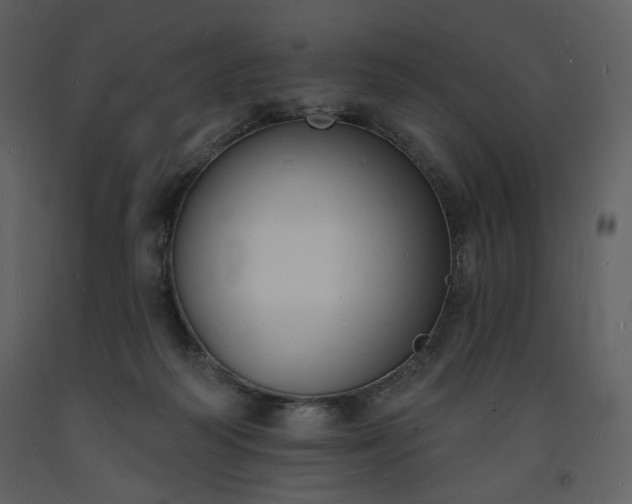 X0000093600218200710221554