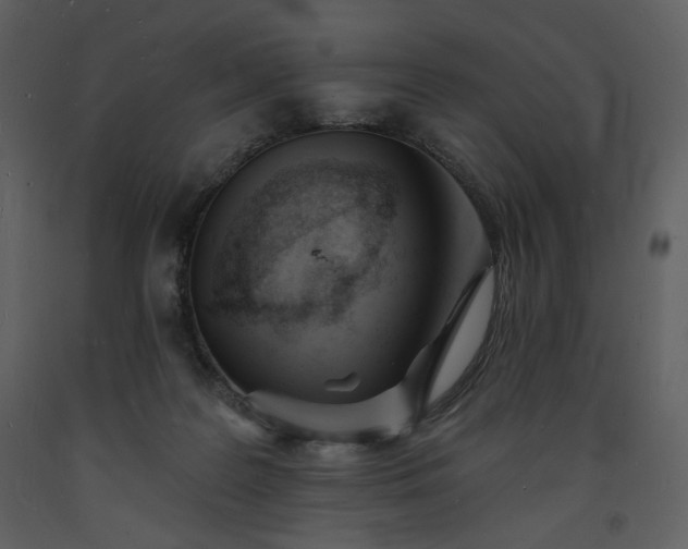 X0000093600219200710221554