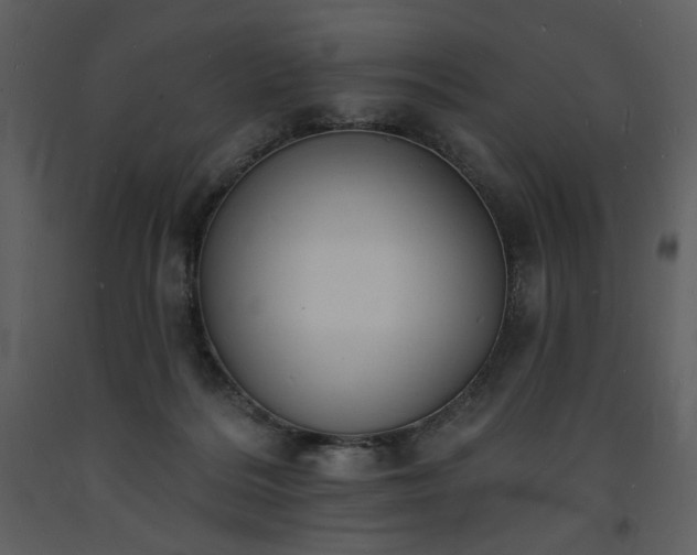 X0000093600220200710221554