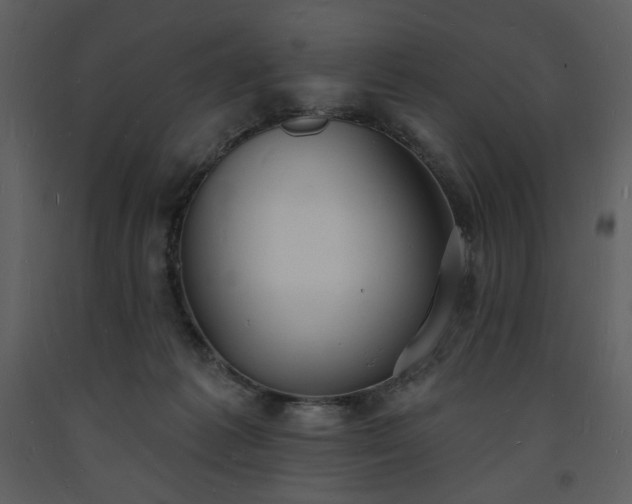 X0000093600221200710221554