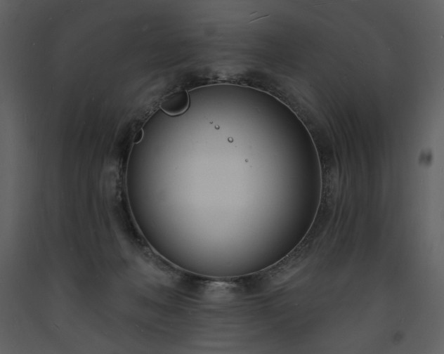 X0000093600222200710221554